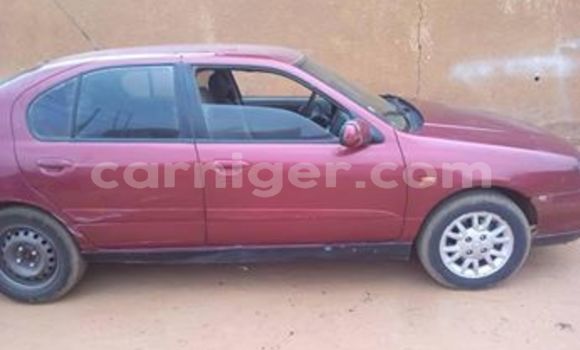 Buy Used Nissan Primera Red Car in Niamey in Niamey Buy Used Nissan Primera Red Car in Niamey in Niamey