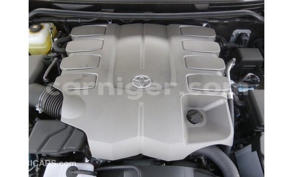 اشتري Imported Toyota Land Cruiser Black شاحنة في Import - Dubai في أغاديز اشتري Imported Toyota Land Cruiser Black شاحنة في Import - Dubai في أغاديز