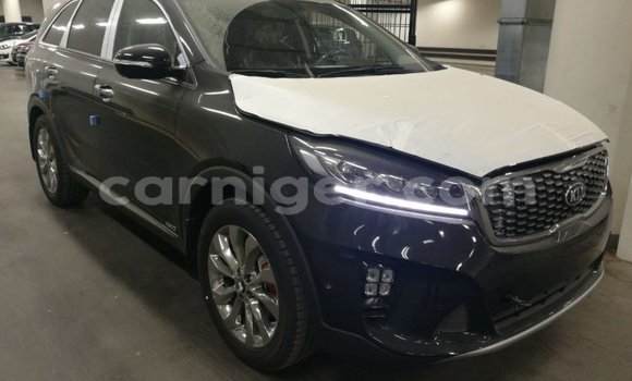 Buy Import Kia Sorento Brown Car in Import - Dubai in Agadez Buy Import Kia Sorento Brown Car in Import - Dubai in Agadez