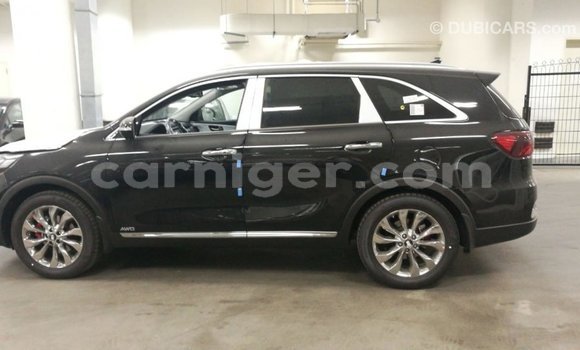 Buy Import Kia Sorento Brown Car in Import - Dubai in Agadez Buy Import Kia Sorento Brown Car in Import - Dubai in Agadez