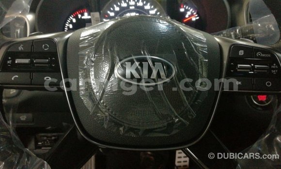 Buy Import Kia Sorento Brown Car in Import - Dubai in Agadez Buy Import Kia Sorento Brown Car in Import - Dubai in Agadez