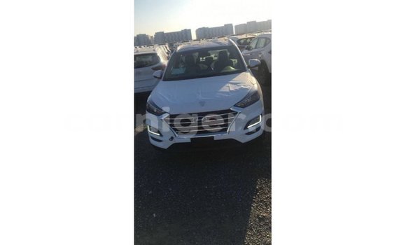 اشتري Imported Hyundai Tucson White سيارة في Import - Dubai في أغاديز اشتري Imported Hyundai Tucson White سيارة في Import - Dubai في أغاديز
