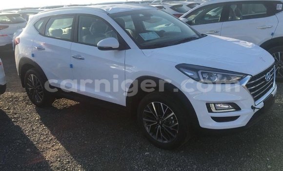 اشتري Imported Hyundai Tucson White سيارة في Import - Dubai في أغاديز اشتري Imported Hyundai Tucson White سيارة في Import - Dubai في أغاديز