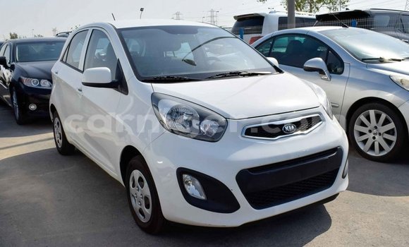 اشتري Imported Kia Picanto White سيارة في Import - Dubai في أغاديز اشتري Imported Kia Picanto White سيارة في Import - Dubai في أغاديز