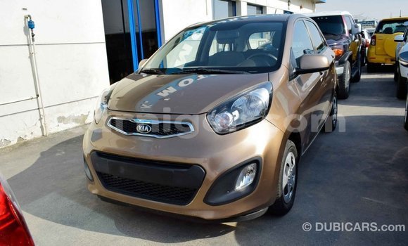 Sayi Imported Kia Picanto Brown Mota in Import - Dubai a Agadez Sayi Imported Kia Picanto Brown Mota in Import - Dubai a Agadez