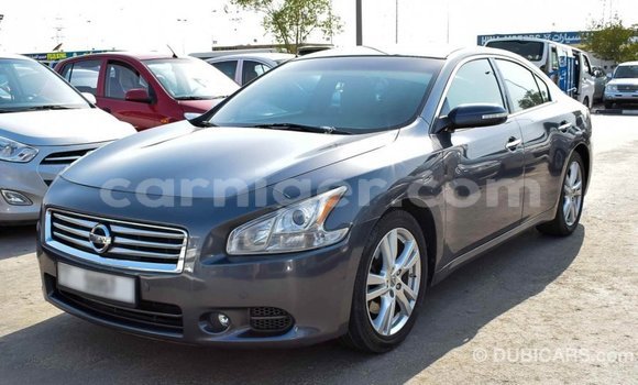 Sayi Imported Nissan Maxima Other Mota in Import - Dubai a Agadez Sayi Imported Nissan Maxima Other Mota in Import - Dubai a Agadez