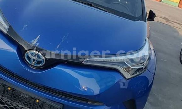 Buy Used Toyota C-HR Blue Car in Niamey in Niamey Buy Used Toyota C-HR Blue Car in Niamey in Niamey