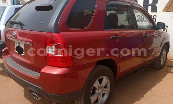 Buy Used Kia Sportage Red Car in Niamey in Niamey Buy Used Kia Sportage Red Car in Niamey in Niamey
