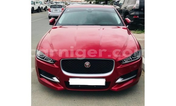 Buy Import Jaguar XE Red Car in Import - Dubai in Agadez
