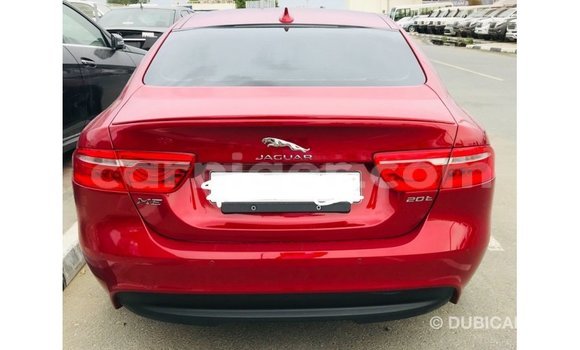 اشتري Imported Jaguar XE Red سيارة في Import - Dubai في أغاديز اشتري Imported Jaguar XE Red سيارة في Import - Dubai في أغاديز