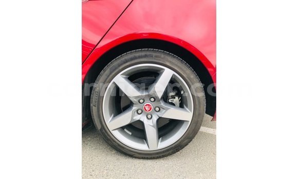 اشتري Imported Jaguar XE Red سيارة في Import - Dubai في أغاديز اشتري Imported Jaguar XE Red سيارة في Import - Dubai في أغاديز