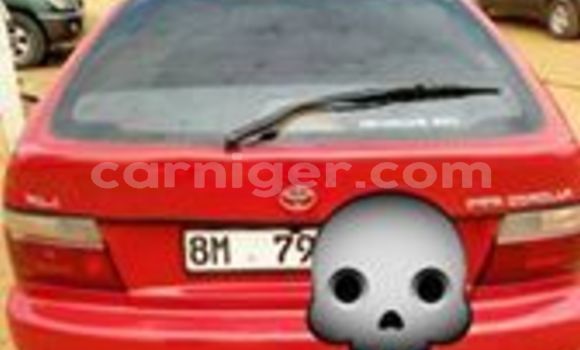 Buy Used Toyota Corolla Red Car in Niamey in Niamey Buy Used Toyota Corolla Red Car in Niamey in Niamey
