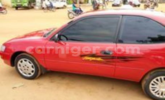 Buy Used Toyota Corolla Red Car in Niamey in Niamey Buy Used Toyota Corolla Red Car in Niamey in Niamey