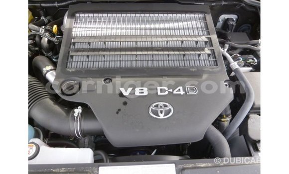 اشتري Imported Toyota Land Cruiser Black شاحنة في Import - Dubai في أغاديز اشتري Imported Toyota Land Cruiser Black شاحنة في Import - Dubai في أغاديز