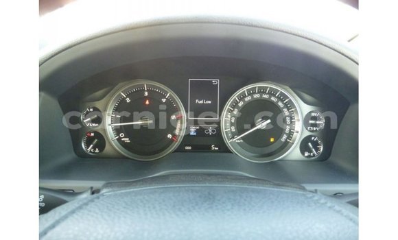 اشتري Imported Toyota Land Cruiser Black شاحنة في Import - Dubai في أغاديز اشتري Imported Toyota Land Cruiser Black شاحنة في Import - Dubai في أغاديز