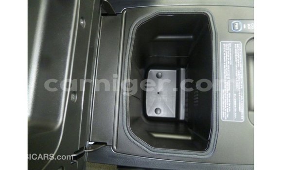Acheter Import Utilitaire Toyota Land Cruiser Noir à Import - Dubai, Agadez Acheter Import Utilitaire Toyota Land Cruiser Noir à Import - Dubai, Agadez