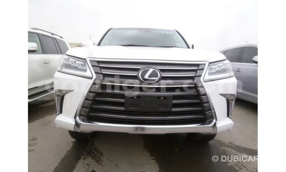 Buy Import Lexus LX White Car in Import - Dubai in Agadez Buy Import Lexus LX White Car in Import - Dubai in Agadez