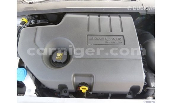 Acheter Import Voiture Jaguar E-Pace Blanc à Import - Dubai, Agadez Acheter Import Voiture Jaguar E-Pace Blanc à Import - Dubai, Agadez