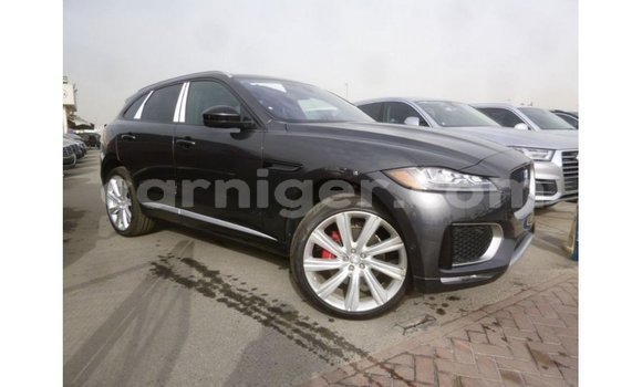 Buy Import Jaguar F-Type Black Car in Import - Dubai in Agadez
