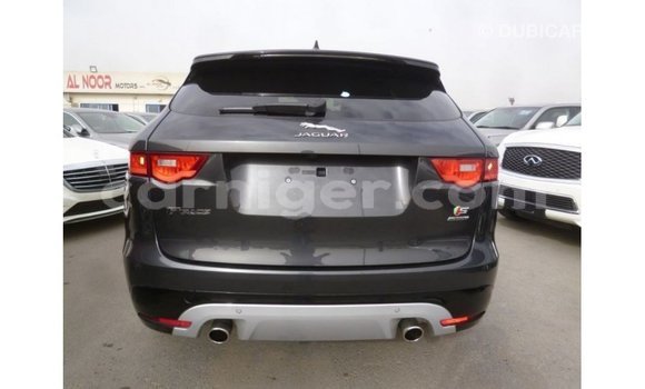 اشتري Imported Jaguar F-Type Black سيارة في Import - Dubai في أغاديز اشتري Imported Jaguar F-Type Black سيارة في Import - Dubai في أغاديز