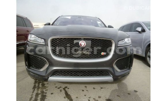 اشتري Imported Jaguar F-Type Black سيارة في Import - Dubai في أغاديز اشتري Imported Jaguar F-Type Black سيارة في Import - Dubai في أغاديز