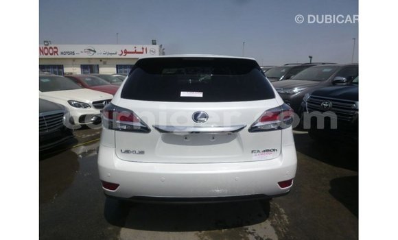 Buy Import Lexus RX White Car in Import - Dubai in Agadez Buy Import Lexus RX White Car in Import - Dubai in Agadez