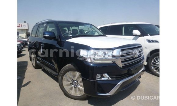 اشتري Imported Toyota Land Cruiser Blue شاحنة في Import - Dubai في أغاديز اشتري Imported Toyota Land Cruiser Blue شاحنة في Import - Dubai في أغاديز