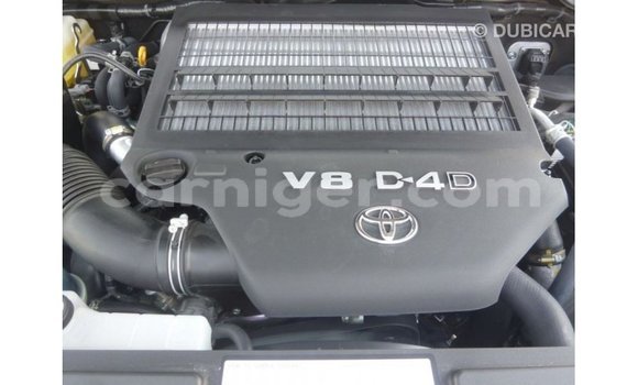 اشتري Imported Toyota Land Cruiser Blue شاحنة في Import - Dubai في أغاديز اشتري Imported Toyota Land Cruiser Blue شاحنة في Import - Dubai في أغاديز