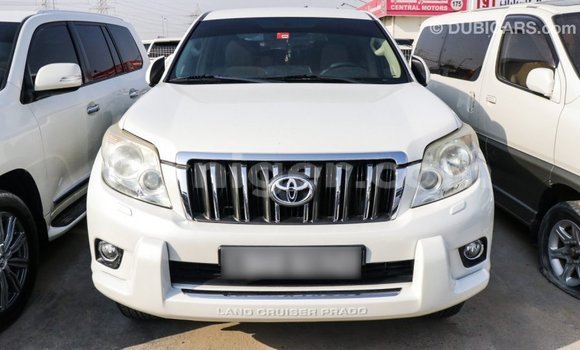Sayi Imported Toyota Prado White Mota in Import - Dubai a Agadez Sayi Imported Toyota Prado White Mota in Import - Dubai a Agadez