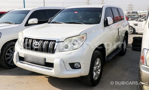 Sayi Imported Toyota Prado White Mota in Import - Dubai a Agadez Sayi Imported Toyota Prado White Mota in Import - Dubai a Agadez