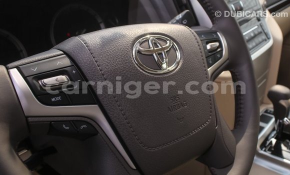 Acheter Import Utilitaire Toyota Land Cruiser Autre à Import - Dubai, Agadez Acheter Import Utilitaire Toyota Land Cruiser Autre à Import - Dubai, Agadez