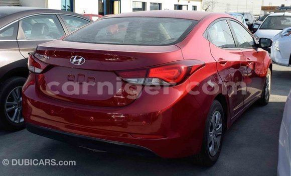 Acheter Import Voiture Hyundai Elantra Rouge à Import - Dubai, Agadez Acheter Import Voiture Hyundai Elantra Rouge à Import - Dubai, Agadez