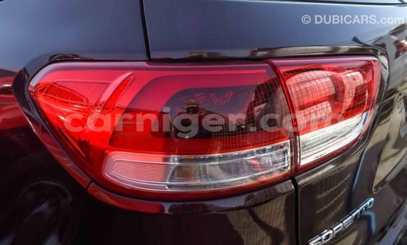 Sayi Imported Kia Sorento Brown Mota in Import - Dubai a Agadez Sayi Imported Kia Sorento Brown Mota in Import - Dubai a Agadez