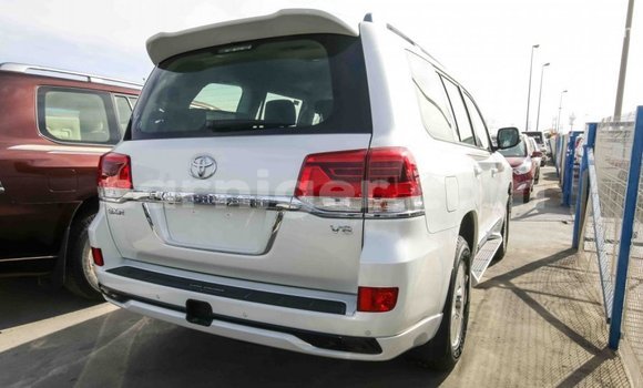 اشتري Imported Toyota Land Cruiser White شاحنة في Import - Dubai في أغاديز اشتري Imported Toyota Land Cruiser White شاحنة في Import - Dubai في أغاديز