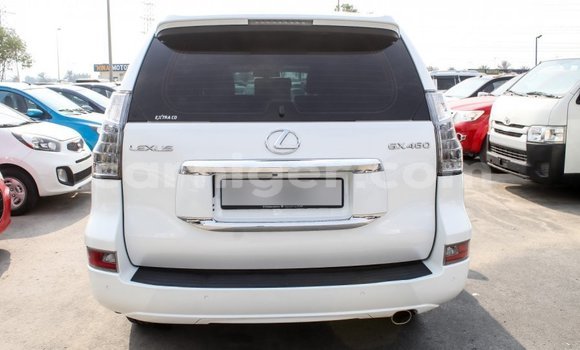 Buy Import Lexus GX White Car in Import - Dubai in Agadez Buy Import Lexus GX White Car in Import - Dubai in Agadez