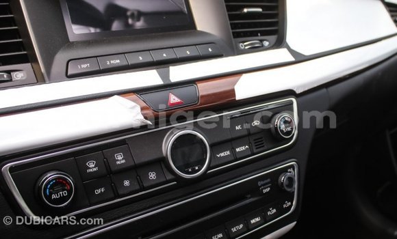 Buy Import Kia Cadenza Other Car in Import - Dubai in Agadez Buy Import Kia Cadenza Other Car in Import - Dubai in Agadez