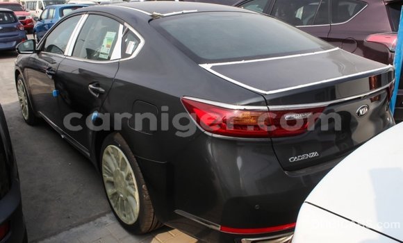 Buy Import Kia Cadenza Other Car in Import - Dubai in Agadez Buy Import Kia Cadenza Other Car in Import - Dubai in Agadez