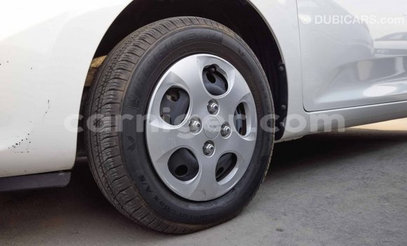 اشتري Imported Kia Picanto White سيارة في Import - Dubai في أغاديز اشتري Imported Kia Picanto White سيارة في Import - Dubai في أغاديز