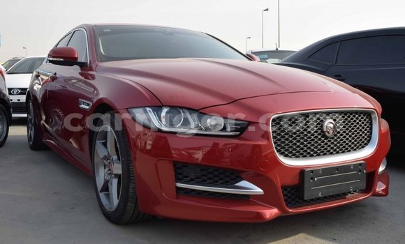 Buy Import Jaguar XE Red Car in Import - Dubai in Agadez