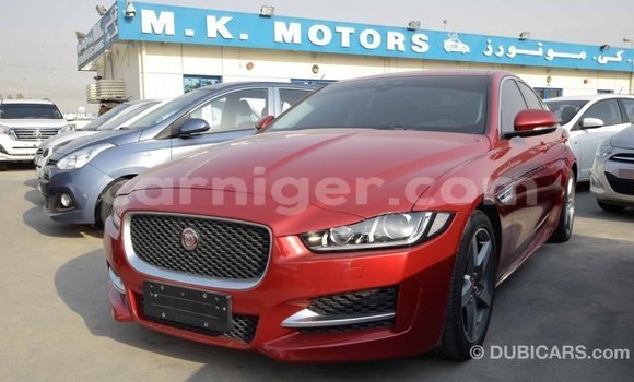 Buy Import Jaguar XE Red Car in Import - Dubai in Agadez Buy Import Jaguar XE Red Car in Import - Dubai in Agadez