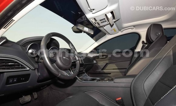 Buy Import Jaguar XE Red Car in Import - Dubai in Agadez Buy Import Jaguar XE Red Car in Import - Dubai in Agadez