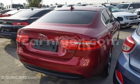 Buy Import Jaguar XE Red Car in Import - Dubai in Agadez Buy Import Jaguar XE Red Car in Import - Dubai in Agadez