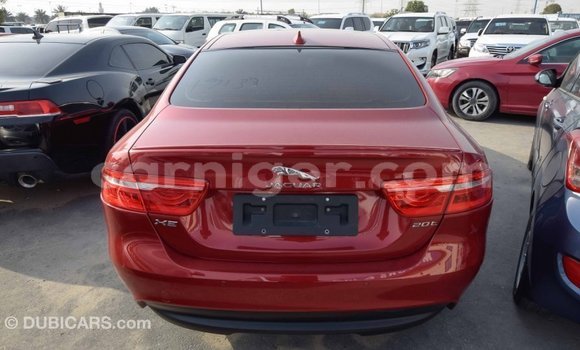 Buy Import Jaguar XE Red Car in Import - Dubai in Agadez Buy Import Jaguar XE Red Car in Import - Dubai in Agadez