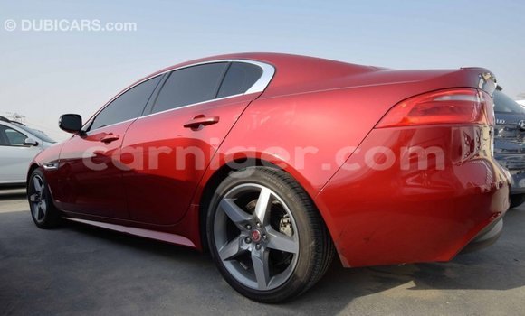 Buy Import Jaguar XE Red Car in Import - Dubai in Agadez Buy Import Jaguar XE Red Car in Import - Dubai in Agadez