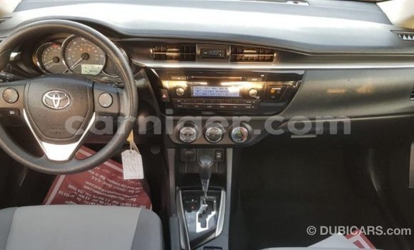 Buy Import Toyota Corolla Other Car in Import - Dubai in Agadez Buy Import Toyota Corolla Other Car in Import - Dubai in Agadez