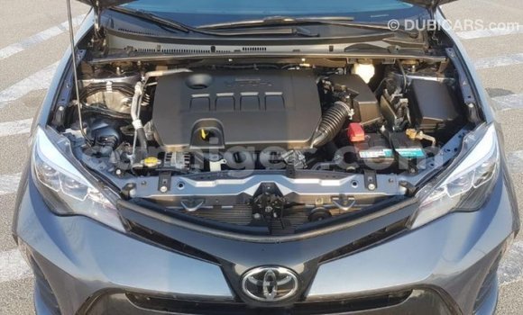 Buy Import Toyota Corolla Other Car in Import - Dubai in Agadez Buy Import Toyota Corolla Other Car in Import - Dubai in Agadez