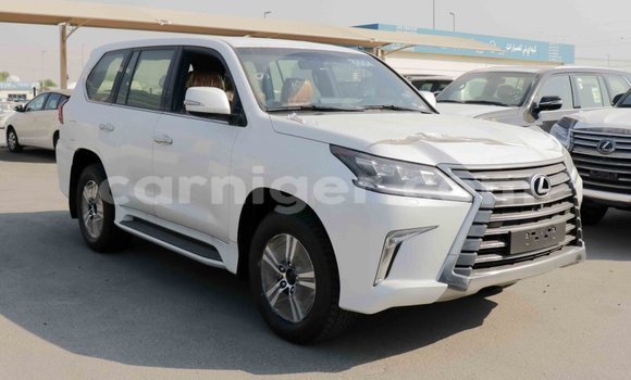 Buy Import Lexus LX White Car in Import - Dubai in Agadez Buy Import Lexus LX White Car in Import - Dubai in Agadez
