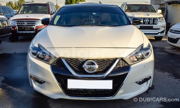 Buy Import Nissan Maxima White Car in Import - Dubai in Agadez Buy Import Nissan Maxima White Car in Import - Dubai in Agadez