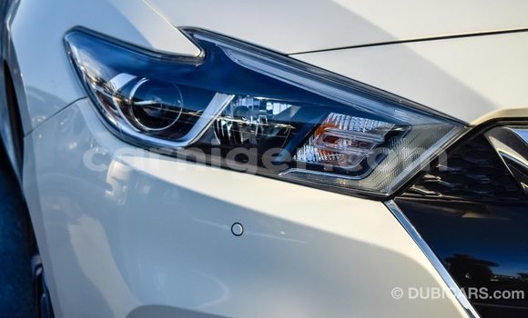 Buy Import Nissan Maxima White Car in Import - Dubai in Agadez Buy Import Nissan Maxima White Car in Import - Dubai in Agadez