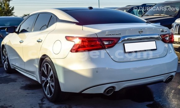 Buy Import Nissan Maxima White Car in Import - Dubai in Agadez Buy Import Nissan Maxima White Car in Import - Dubai in Agadez